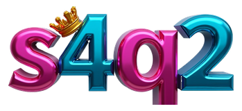 s4q2